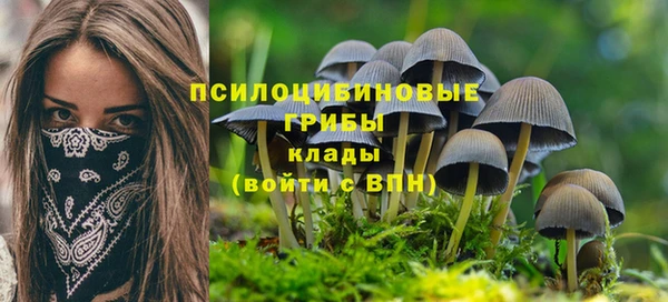 ешки Бронницы