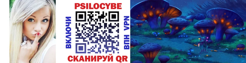 Галлюциногенные грибы Cubensis купить Высоцк
